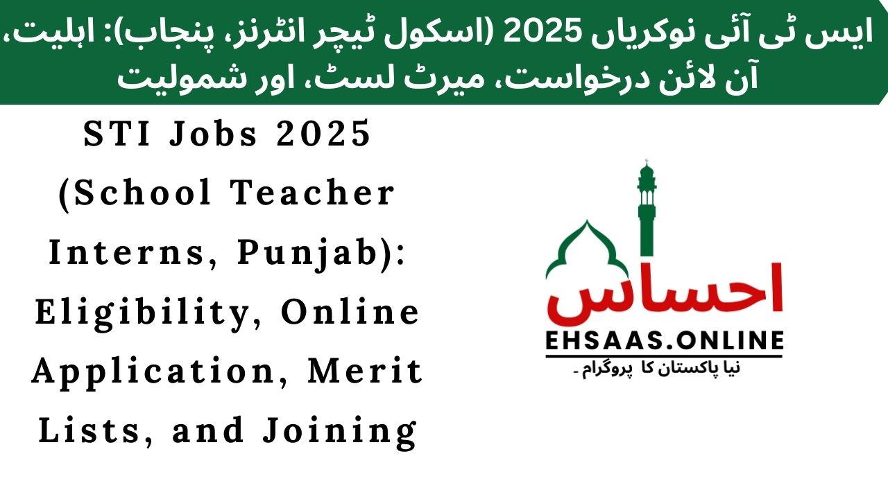 STI Jobs 2025